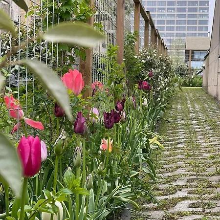 Vondice 2* 阿姆斯特丹