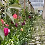 Vondice 2* Amsterdam