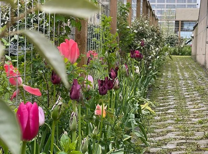 Vondice 2* 阿姆斯特丹