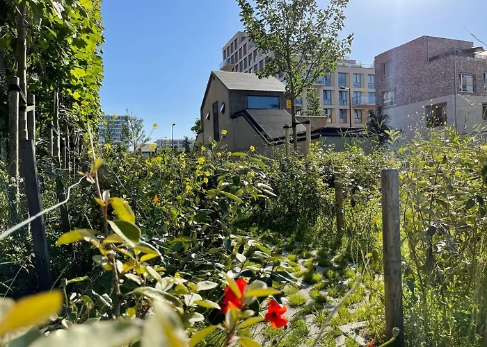 Vondice 2* Ámsterdam